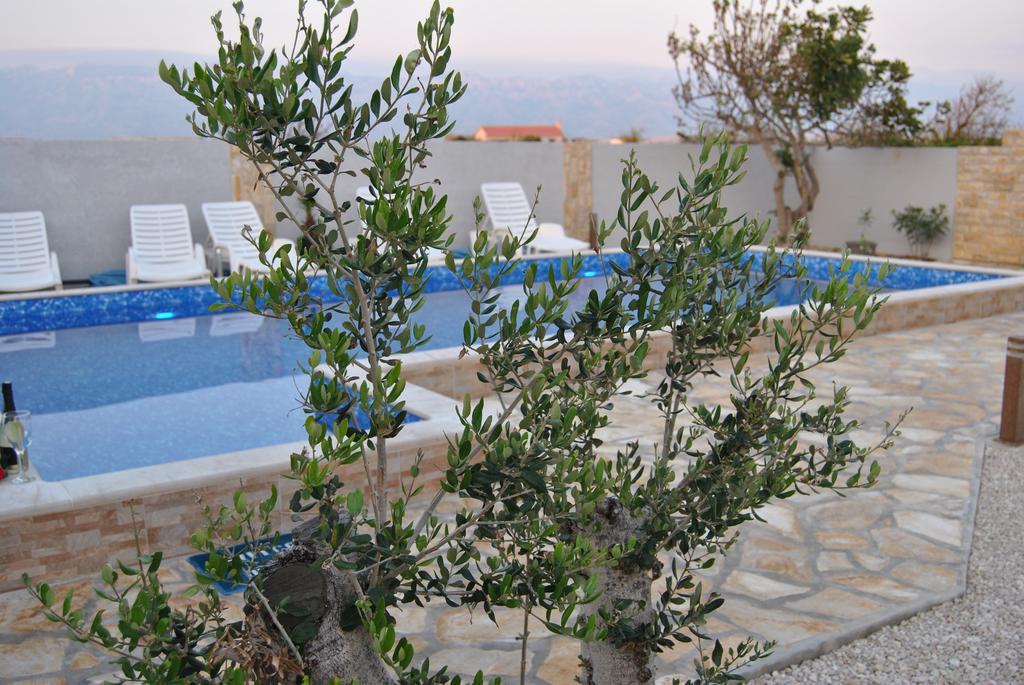 Апартаменты House With Swimming Pool Blue Diamond Повляна Экстерьер фото
